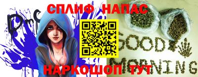 МДПВ Можга