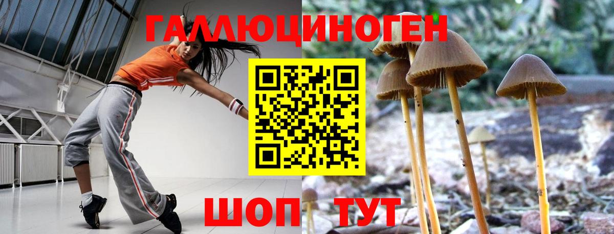 где найти   Галлюциногенные грибы мицелий  Вход с VPN  Иваново 